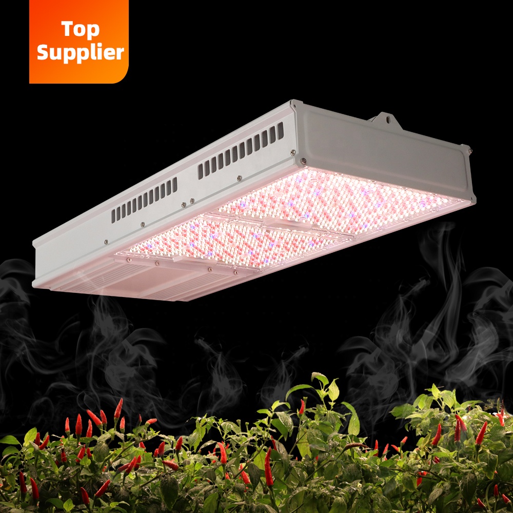 Cost-Effective 600W 800W Topli - Indoor Plants review and price