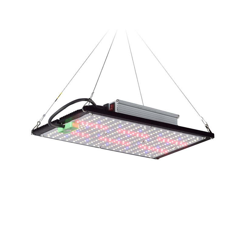 LED Quantum‑Board Grow Light F - Indoor Plants review and price