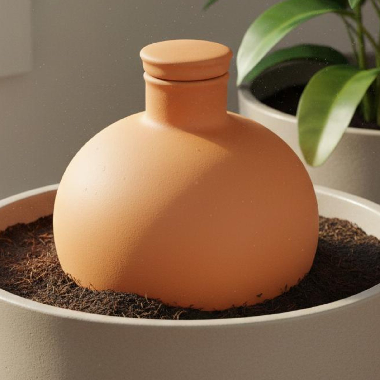 2 Pieces Terracotta Olla Easy  - Terracotta Pot review and price