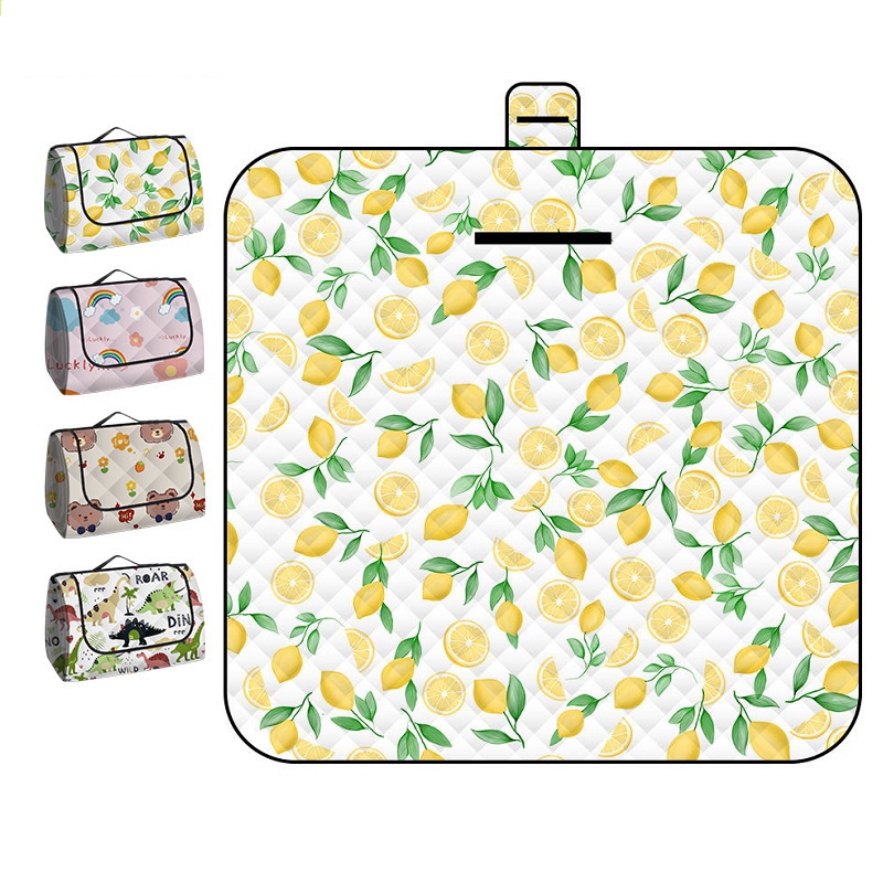 150*200CM Portable Picnic Mat  - Repotting Mat review and price