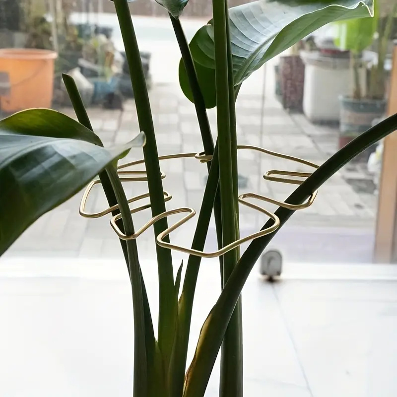 1Pc Large Hanging Plant Stand, - Plant Support Stake review and price
