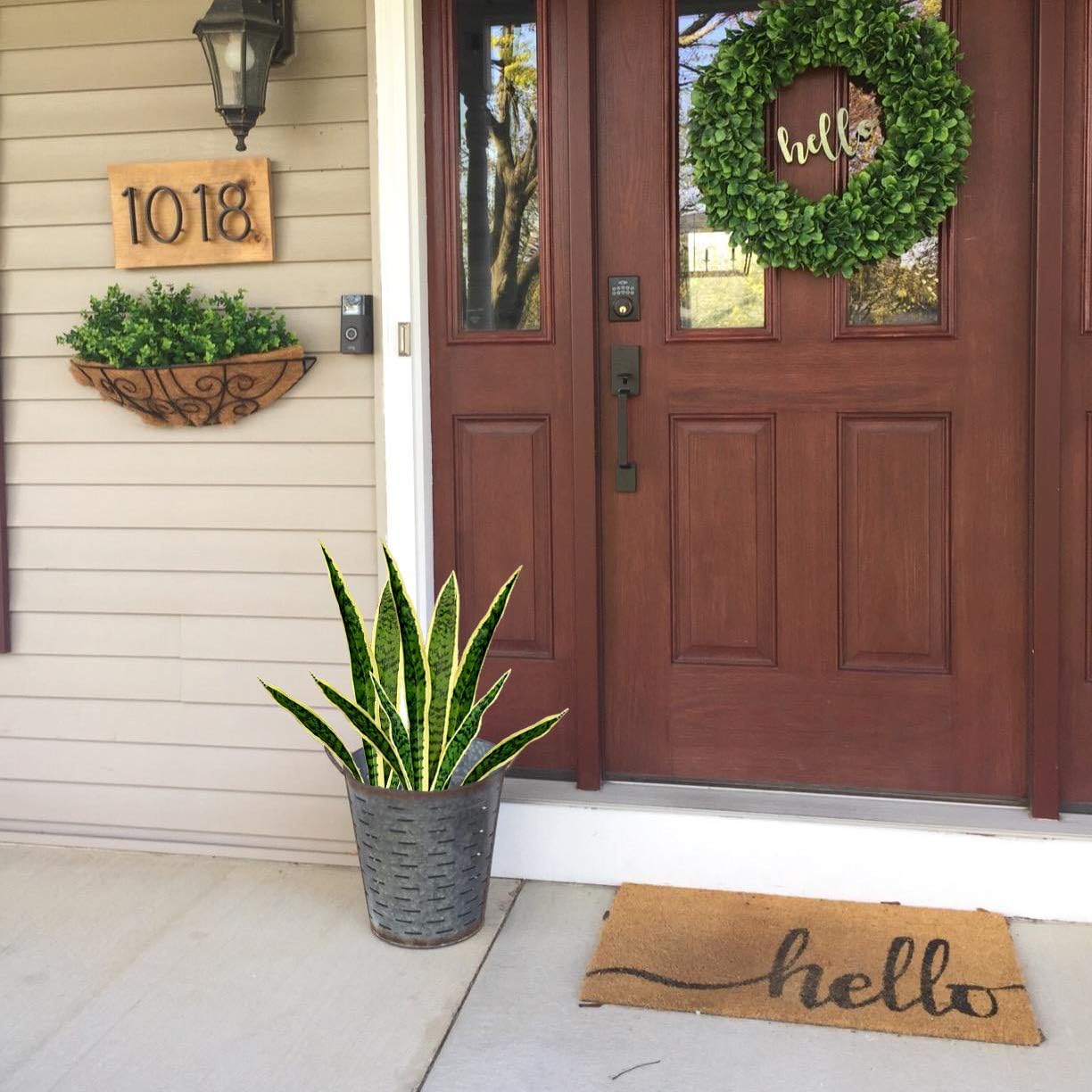 4 PCS Fake Artificial Snake Fa - Snake Plant review and price