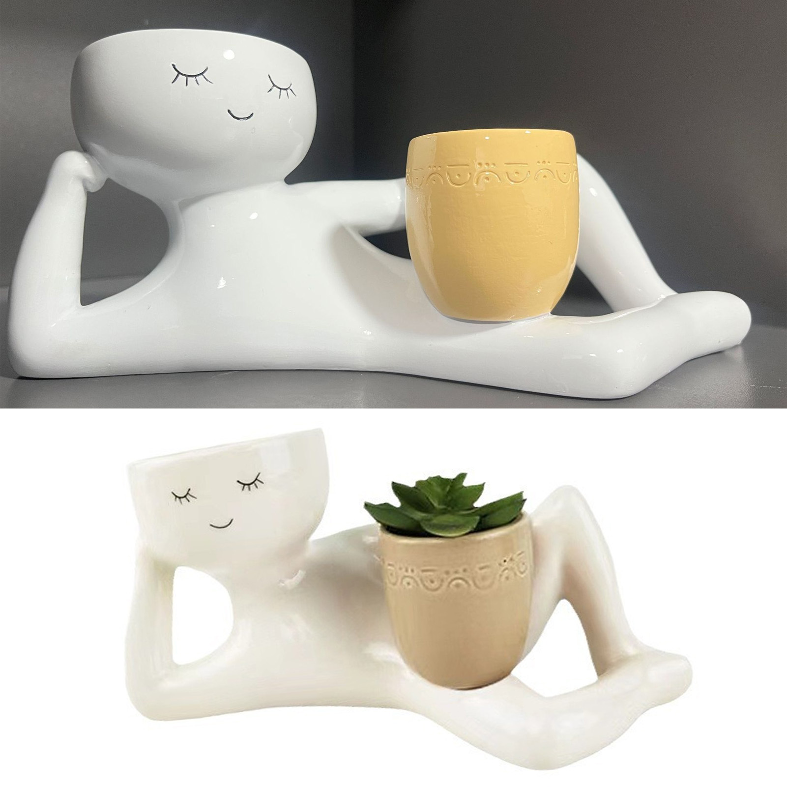 Succulent Pot Creative Breatha - Succulent Set review and price