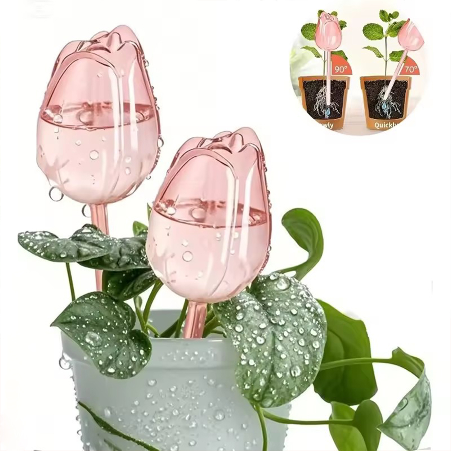 Transparent Thick PET Tulip Sh - Pothos review and price
