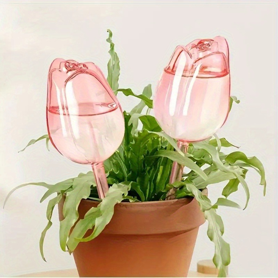 Transparent Thick PET Tulip Sh - Pothos review and price