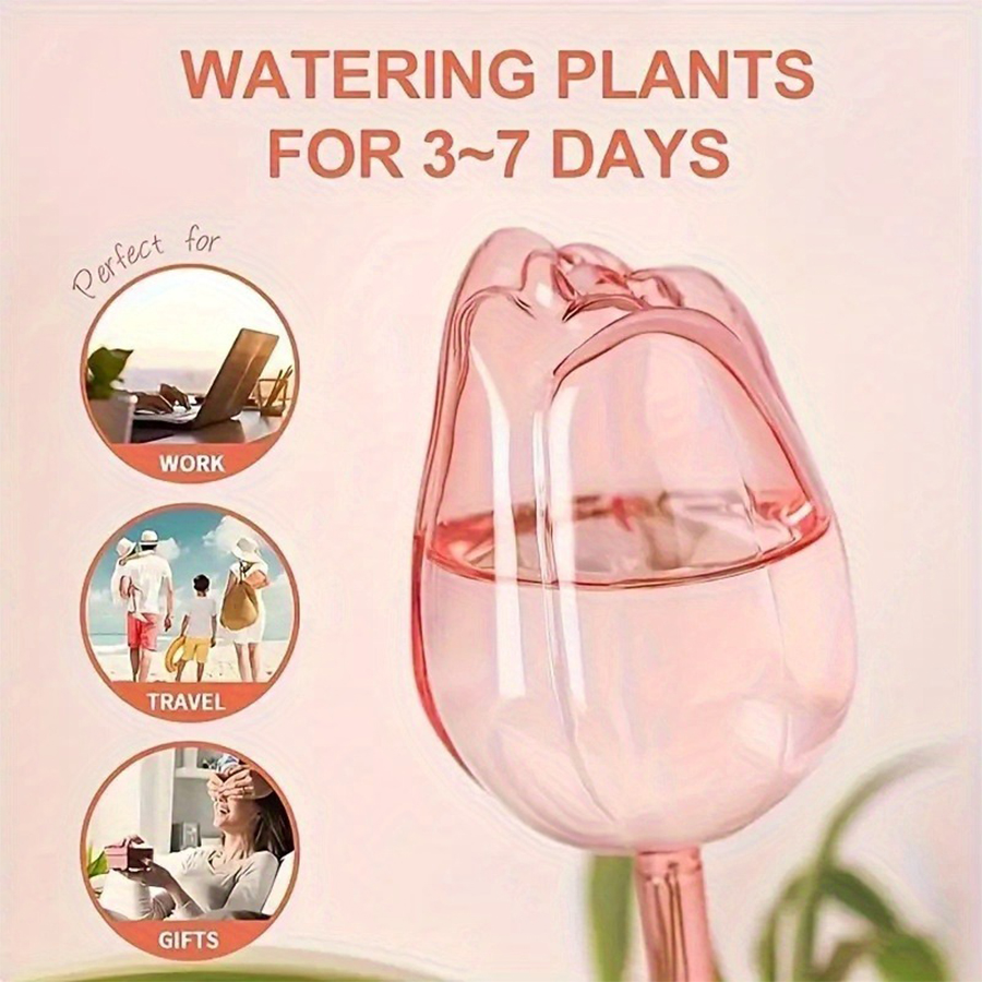 Transparent Thick PET Tulip Sh - Pothos review and price