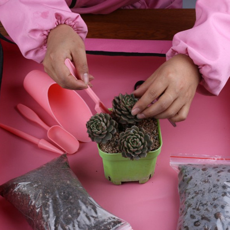 4Pcs/Set Garden Planter Kit DI - Succulent Set review and price