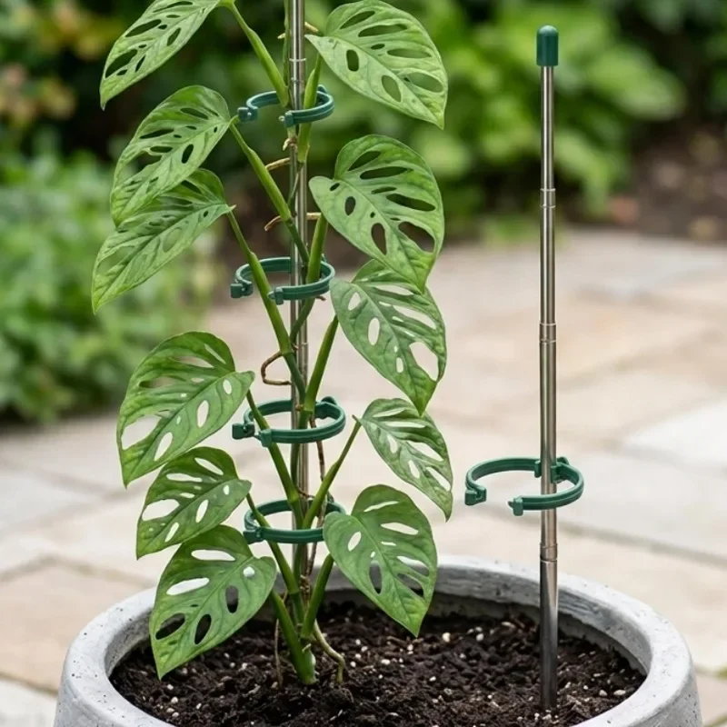 5/1PCS Retractable Plant Suppo - Plant Support Stake review and price