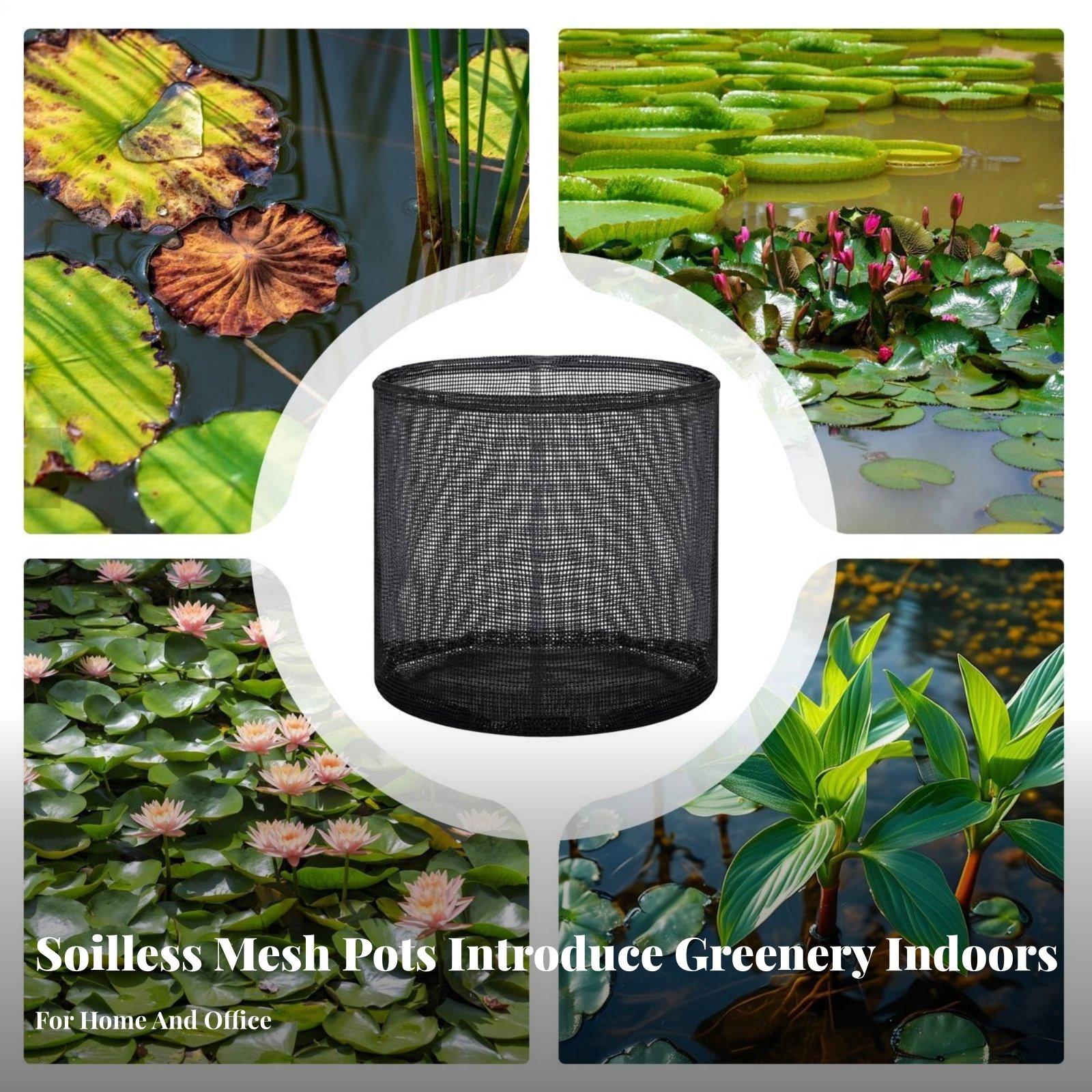 4 Piece Water Lily Planting Po - Plant Pot review and price