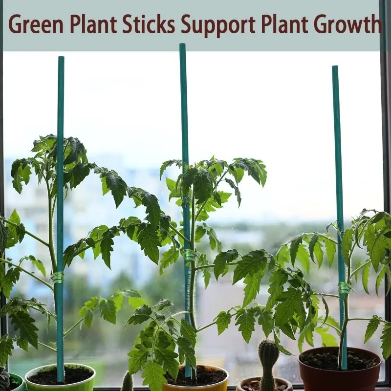 Plant Support Sticks Canes Bam - Plant Support Stake review and price