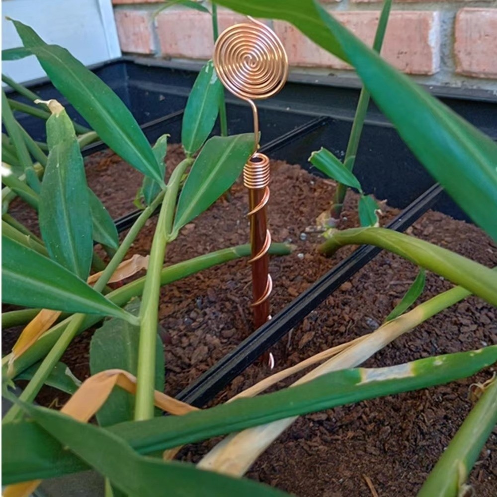 Spiral Coil Electroculture Pla - Plant Support Stake review and price