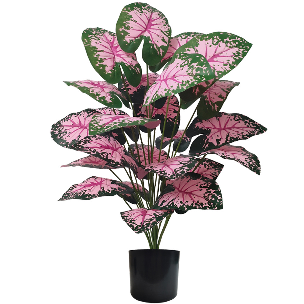 Pink Leaf Potted Plants Fake A - Snake Plant review and price