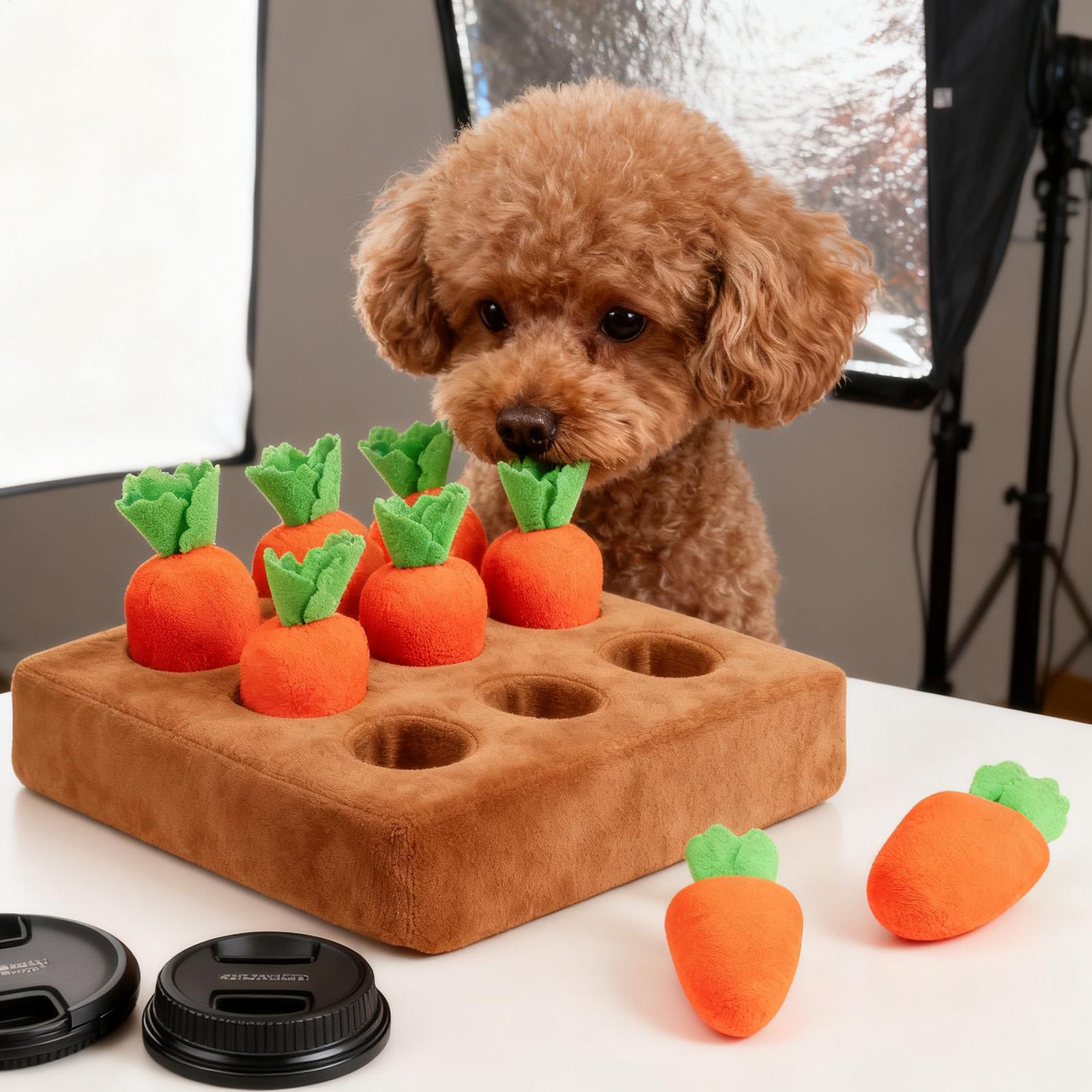 Pet Carrot Interactive Toys Do - Repotting Mat review and price
