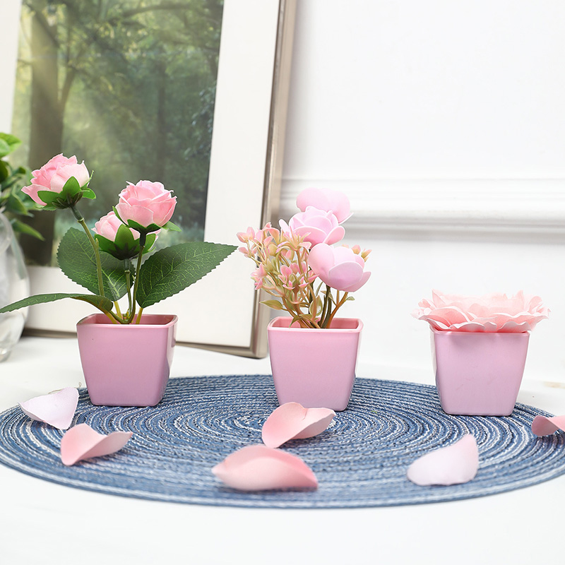 (A set of 3PCS) Simulated Mini - Succulent Set review and price