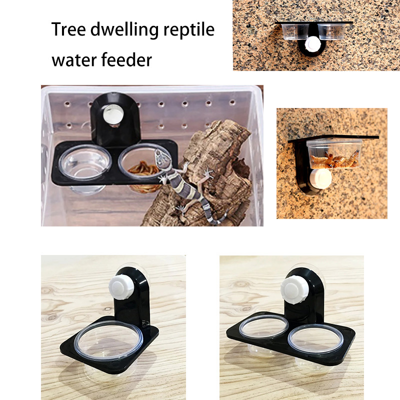 Reptile Tank Accessories Insec - Snake Plant review and price