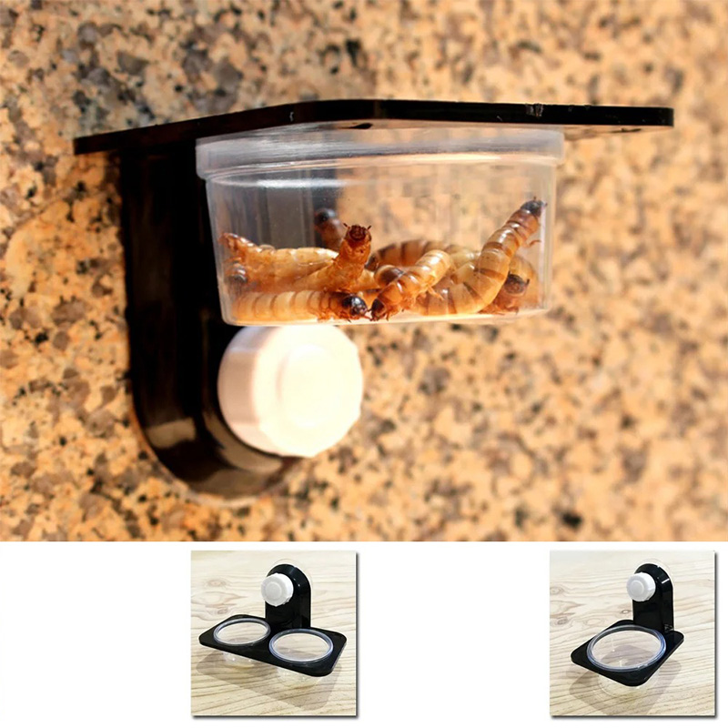 Reptile Tank Accessories Insec - Snake Plant review and price