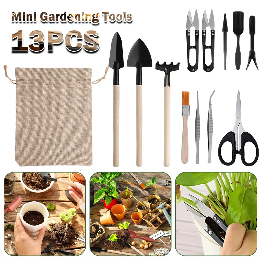 13PCS Succulent Plants Tool Se - Succulent Set review and price