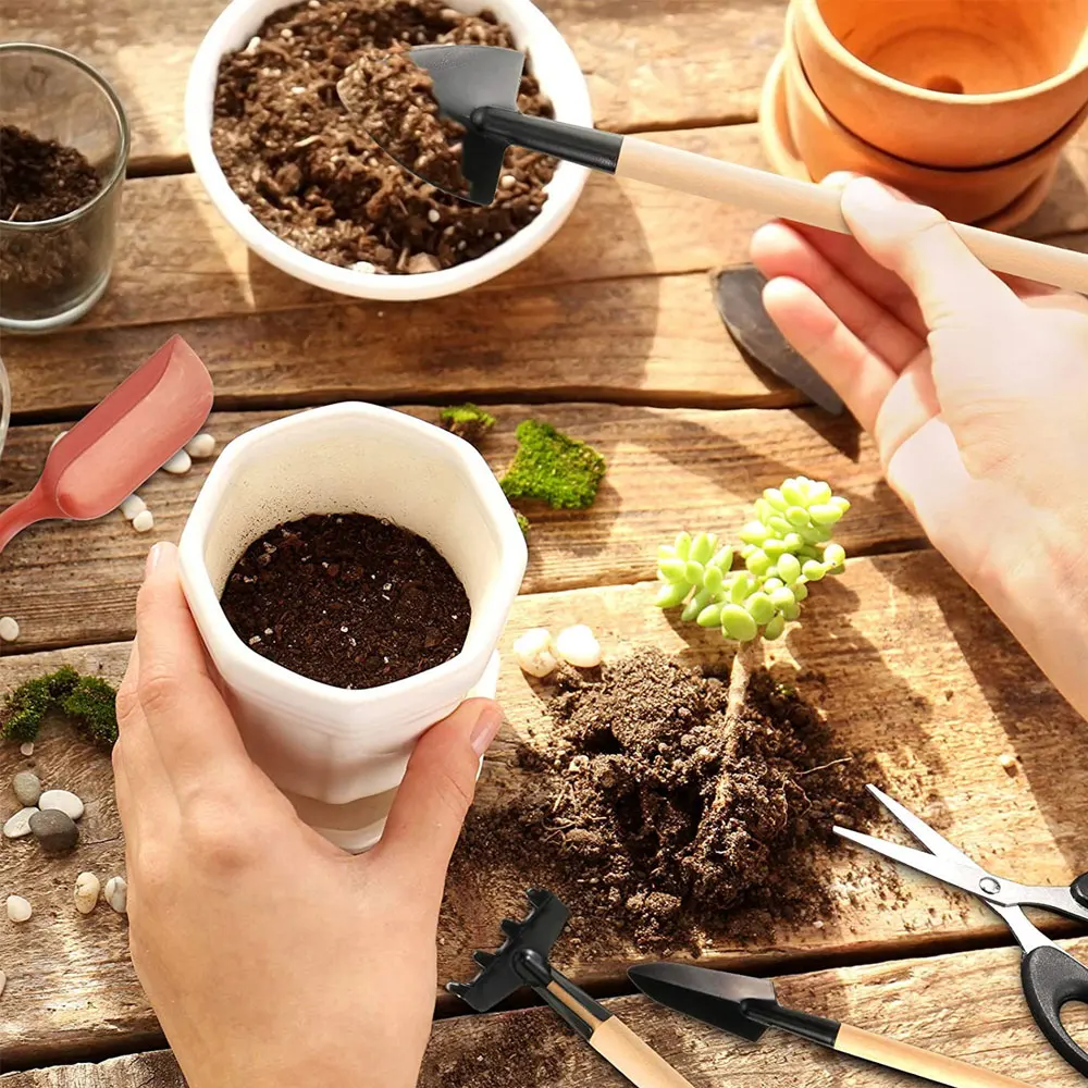 13PCS Succulent Plants Tool Se - Succulent Set review and price