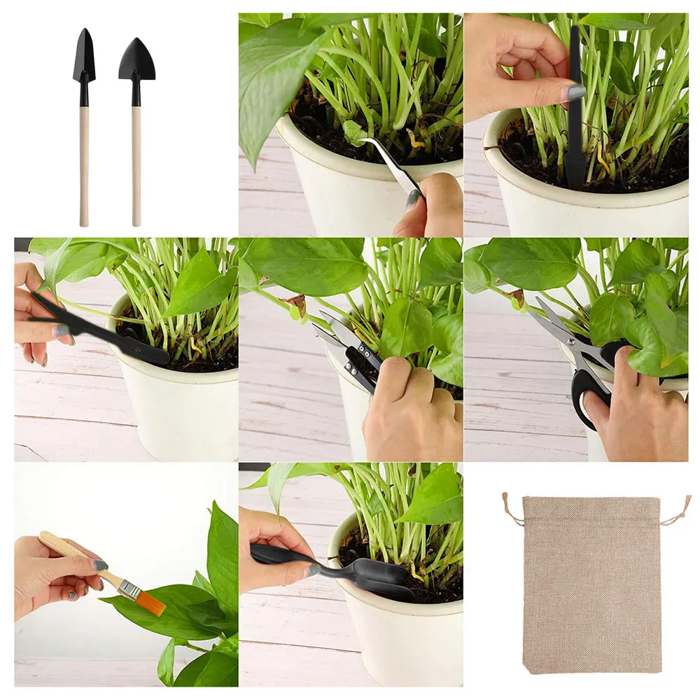 13PCS Succulent Plants Tool Se - Succulent Set review and price