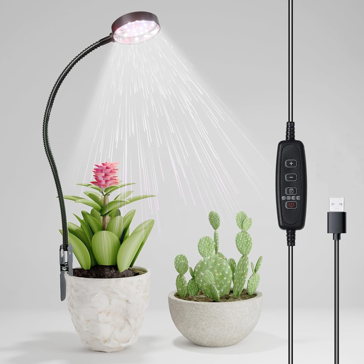USB LED Grow Light 6000K Full  - Pothos review and price