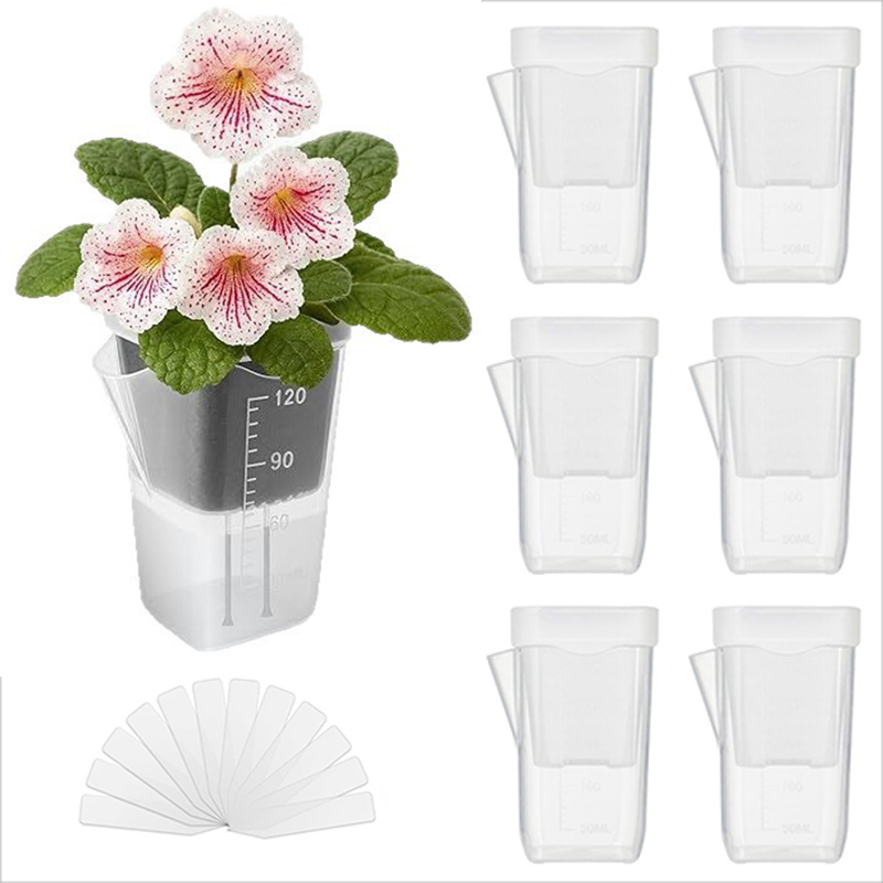 16/32 Pack Self-Watering Plant - Pothos review and price