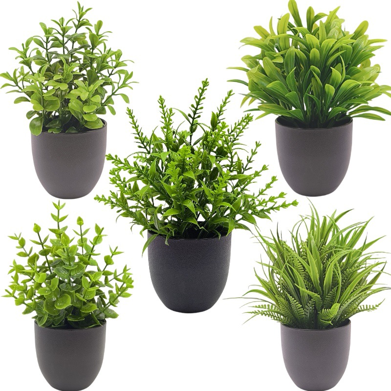 Simulation Green Plant Bonsai  - Succulent Set review and price