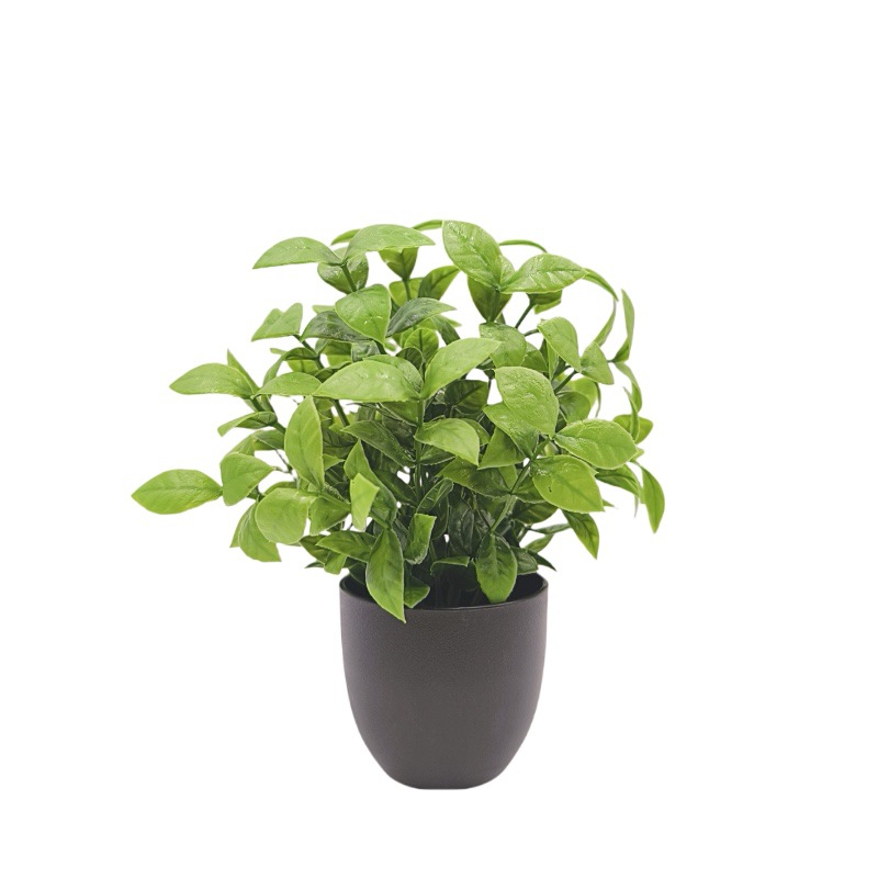 Simulation Green Plant Bonsai  - Succulent Set review and price