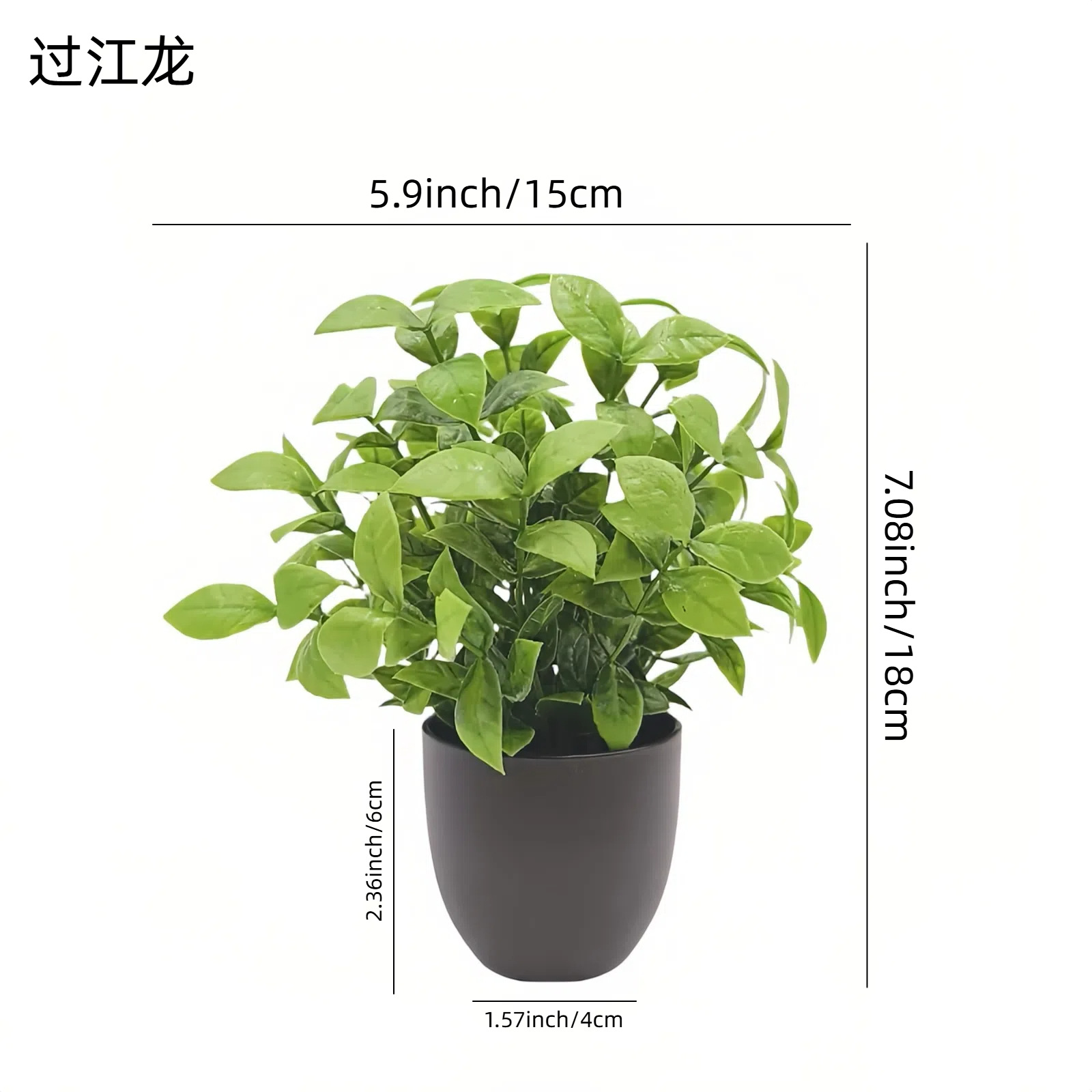 Simulation Green Plant Bonsai  - Succulent Set review and price