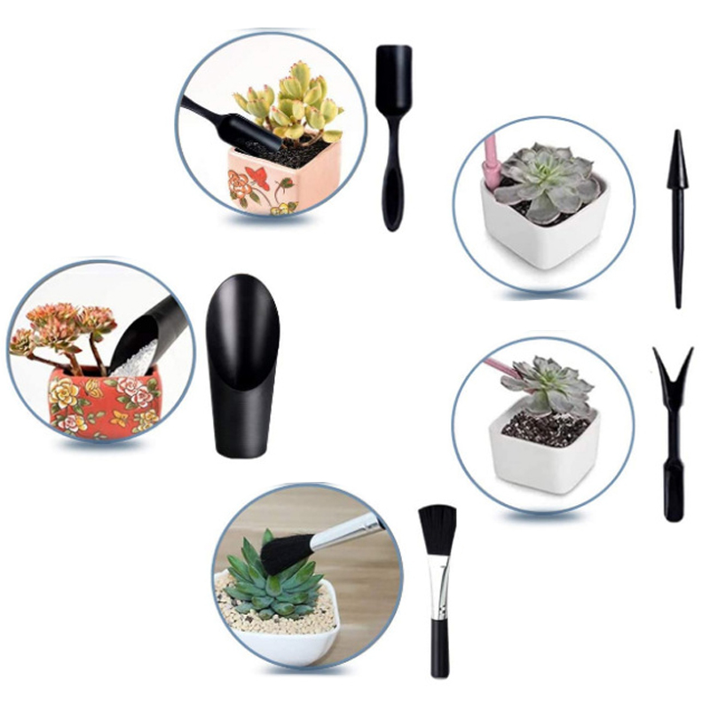Mini Gardening Tool Set Label  - Succulent Set review and price