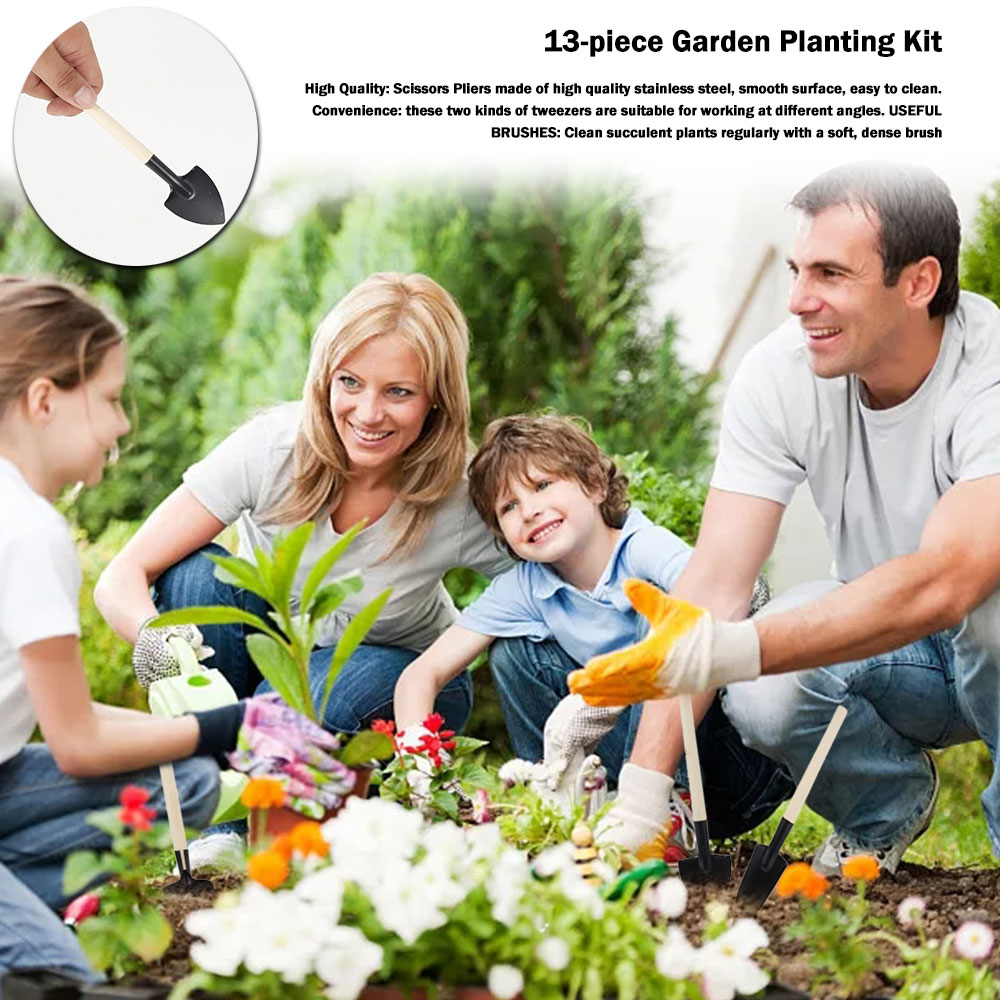 Succulent Plants Tools Mini Ga - Succulent Set review and price