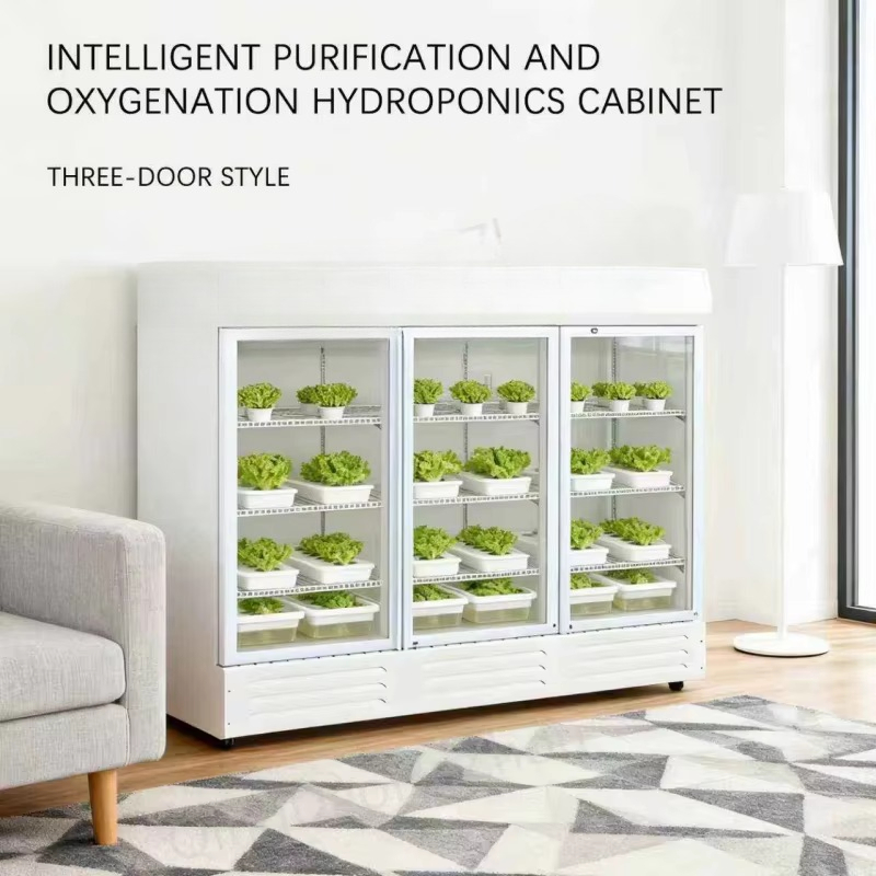 HEZHOU HZ-3 Indoor Hydroponic  - Indoor Plants review and price