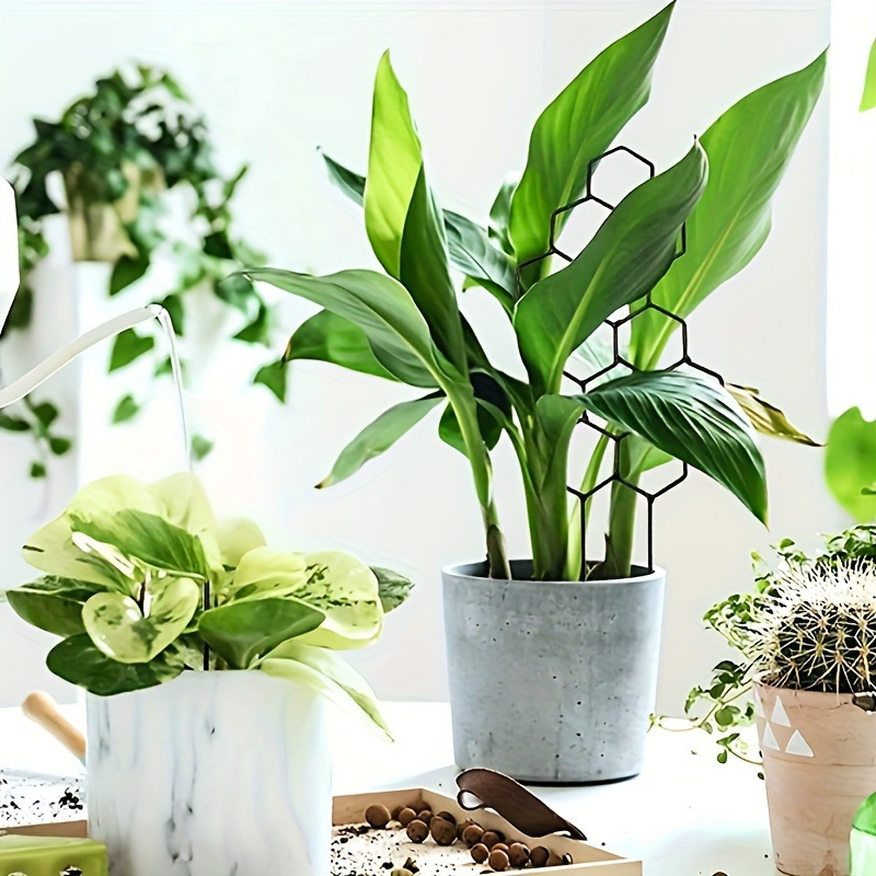 1PC Honeycomb Design Plant Tre - Terracotta Pot review and price