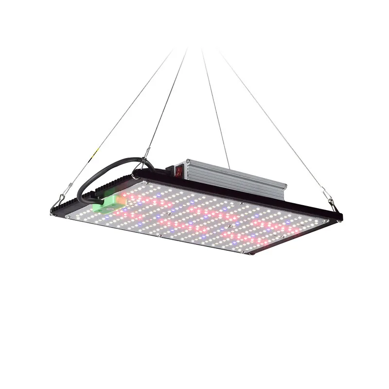 LED Quantum‑Board Grow Light F - Indoor Plants review and price