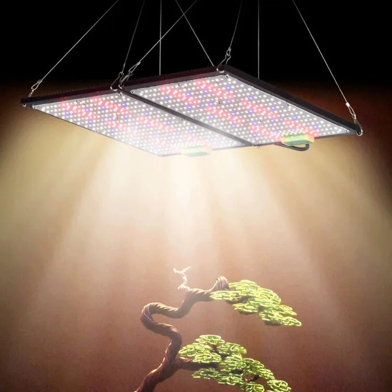 LED Quantum‑Board Grow Light F - Indoor Plants review and price